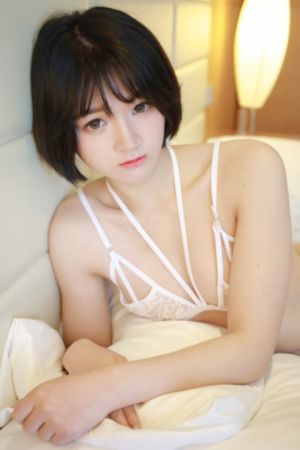 深白再婚进行时