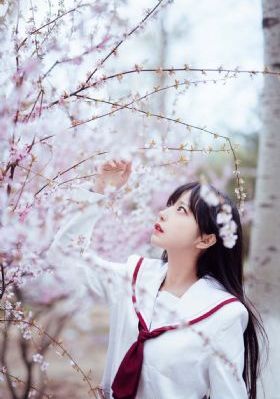 机器生活在线观看完整版免费高清